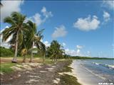 Los Machos Beach - CEIBA